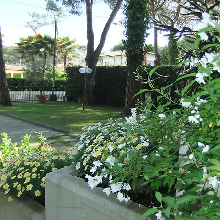 Hotel Hotel Giulio Cesare 3*